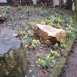 Ruhig Und Spartanisch Wohnen In Lichtenwalde 1 Niederwiesa