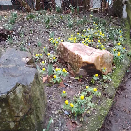 Ruhig Und Spartanisch Wohnen In Lichtenwalde 1 Niederwiesa