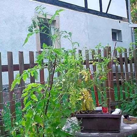 Ruhig Und Spartanisch Wohnen In Lichtenwalde 1