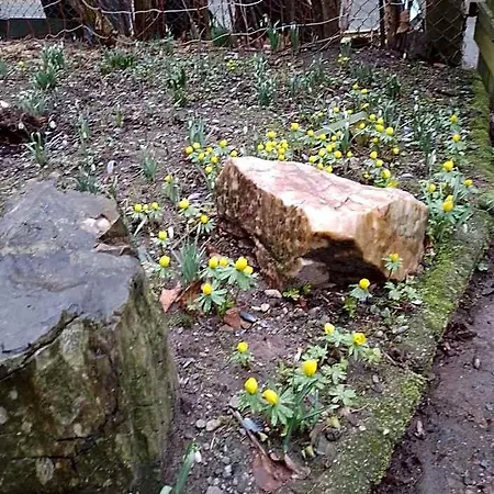 Ruhig Und Spartanisch Wohnen In Lichtenwalde 1 * Niederwiesa