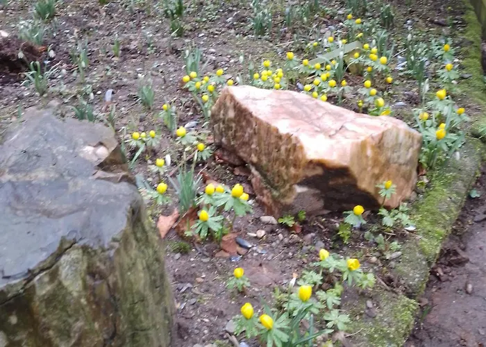 Zum Stillen Himmelbett In Lichtenwalde Niederwiesa